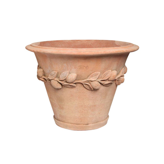 Vaso Limoni