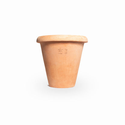 Vaso Alto
